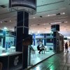 20170906-ozel-tasarim-stand-3