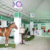 uygulama_fuar_stand_ordu_unye_01